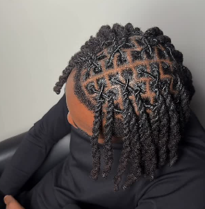 Side angle of twists with detailed parts.